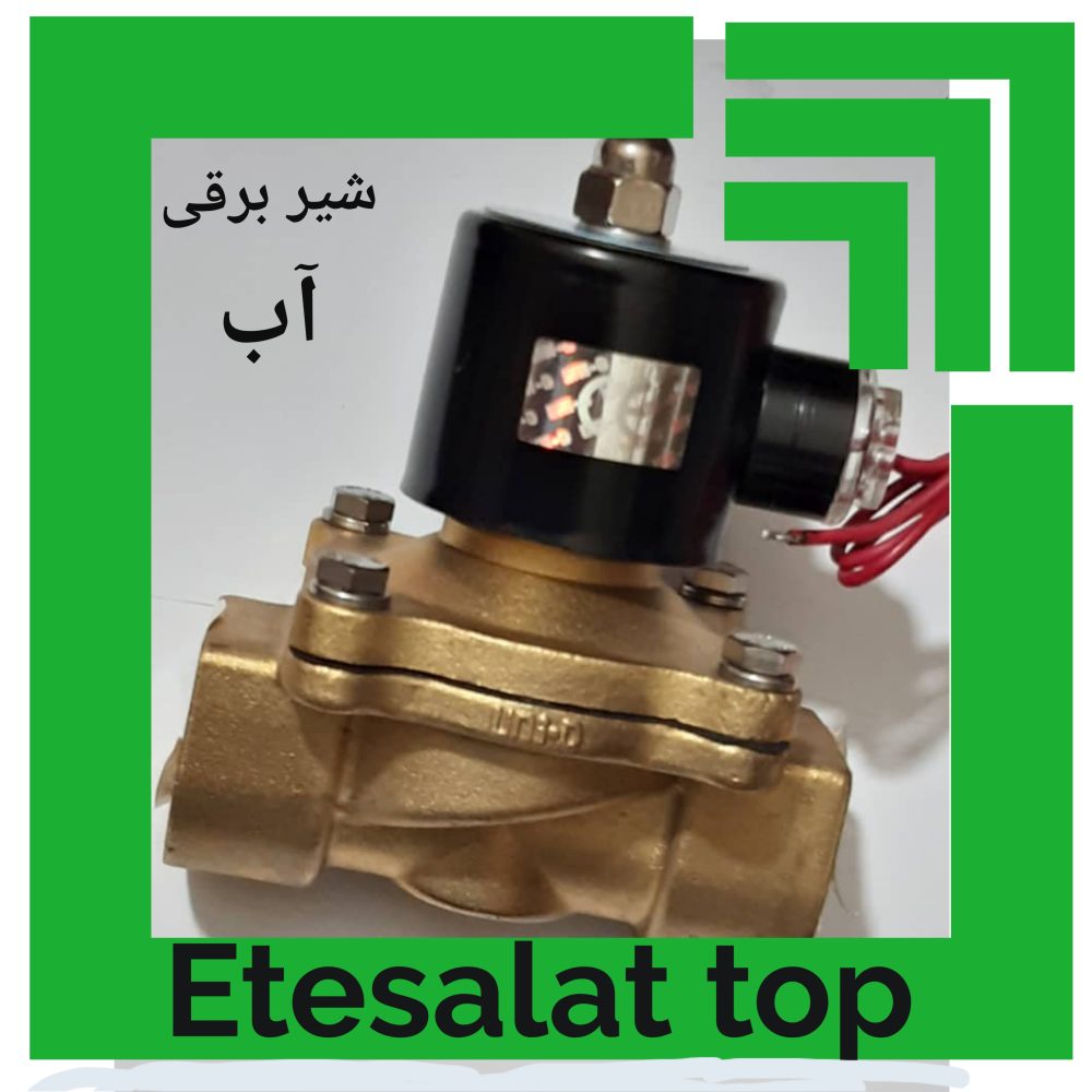 شیر برقی - تصویر 2