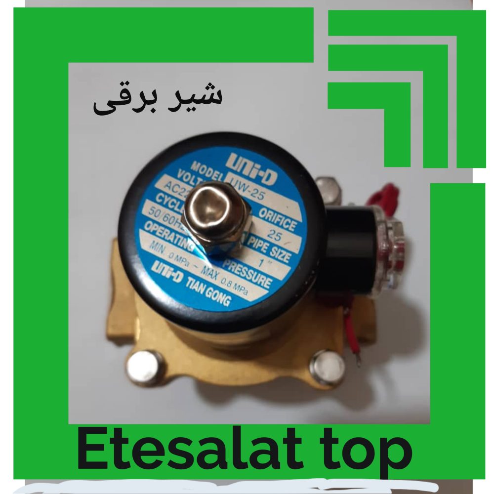 شیر برقی - تصویر 3